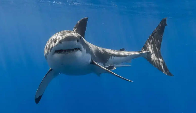 浙江华乐电子有限公司轮播图1